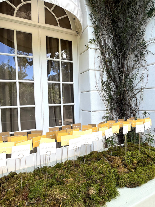 Initial Consultation: Wedding Art Direction & Event Design